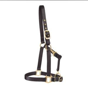 Dover Saddlery Heavy Nylon Horse Halter BLACK brass tack equine rider equestrian